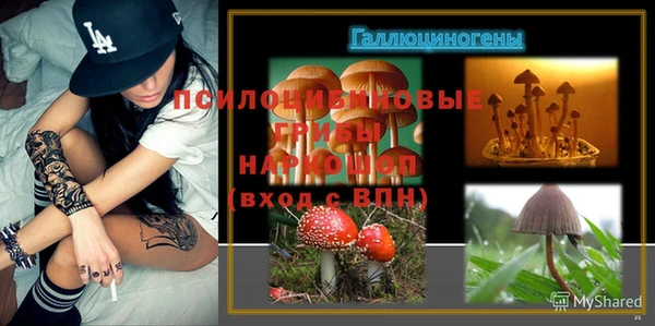 герыч Новозыбков