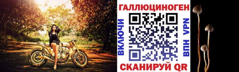 Галлюциногенные грибы Magic Shrooms  Купить где  Георгиевск 